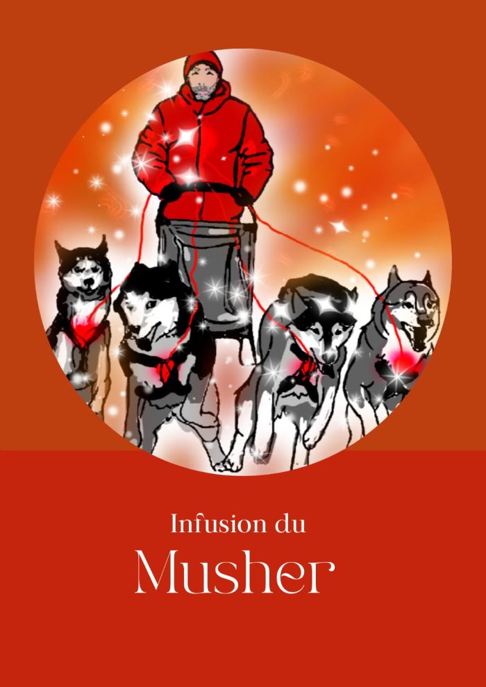 Thé du musher 