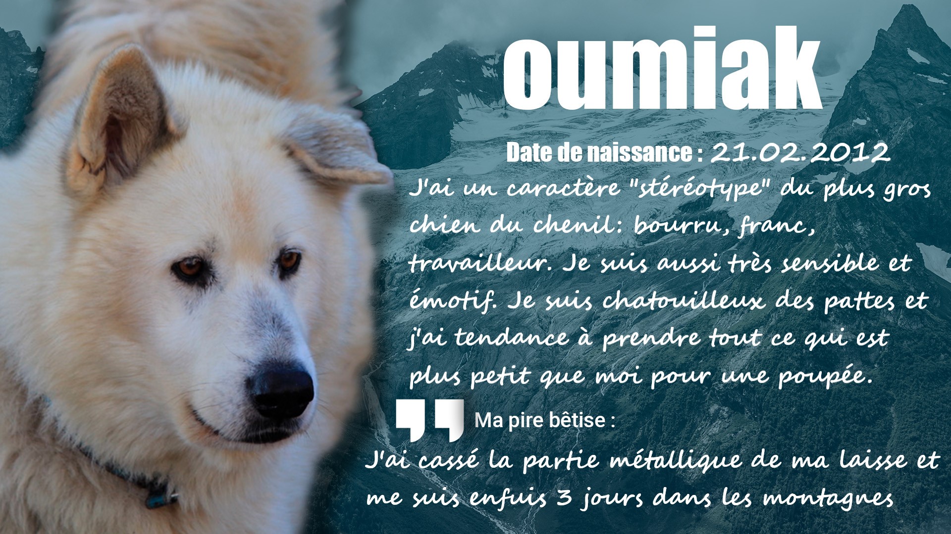 husky Oumiak