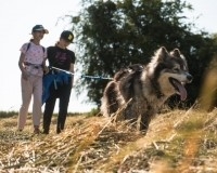 Cani-Rando 1h